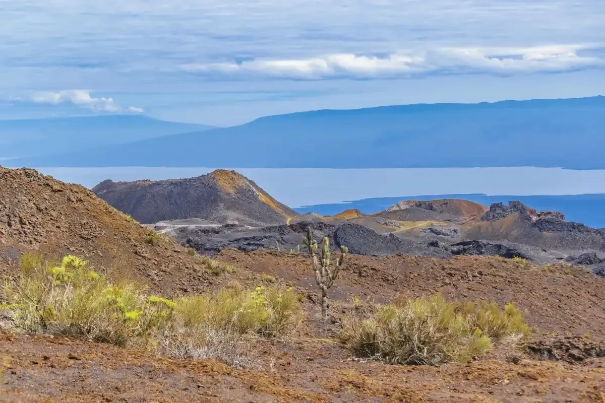 /reisefuehrer/Vulkanlandschaften, Galapagosinseln